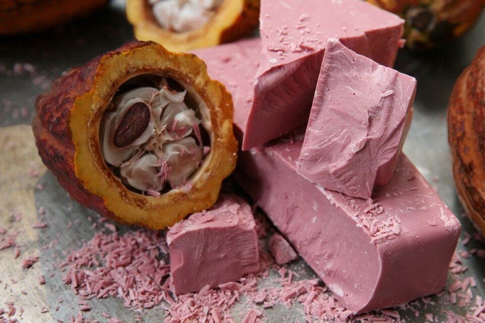 Den nye sjokoladen, Ruby. Den nye sjokoladen, Ruby.