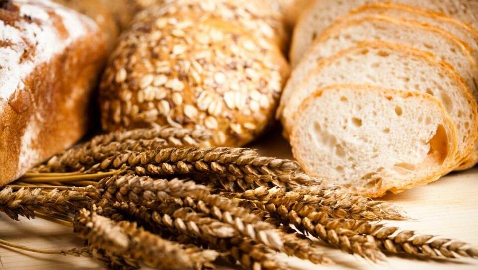 Bakere savner kunnskap om glutenfritt