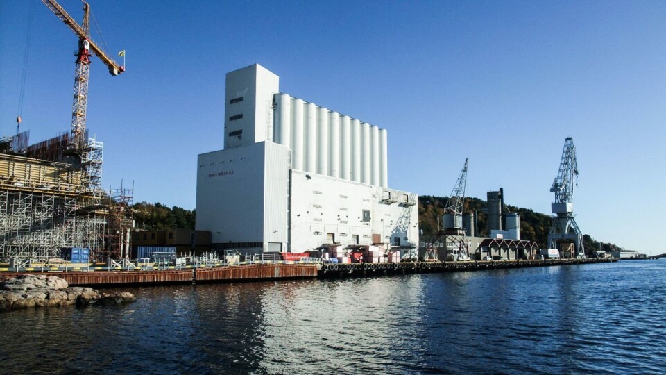 Mølla på Grim får nytt liv som kunstmuseum. Mølla på Grim får nytt liv som kunstmuseum.