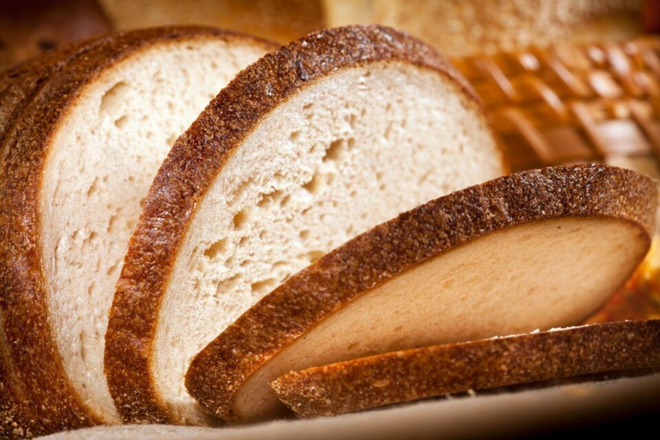 Mindre gluten i kosten endrer tarmbakteriene, forteller en ny rapprt fra Danmark.