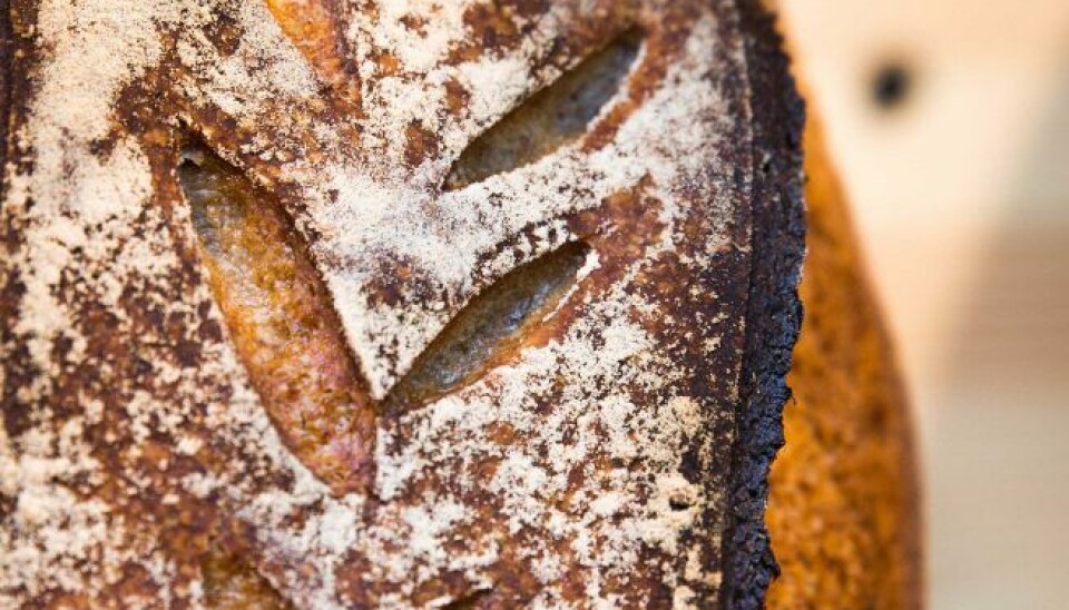 – Vi kjøper alt vårt mel fra Holli Mølle. Og melet fra Skånemöllan er en miks av dansk, svensk og norsk økologisk mel, sier Blomberg . – Vi kjøper alt vårt mel fra Holli Mølle. Og melet fra Skånemöllan er en miks av dansk, svensk og norsk økologisk mel, sier Blomberg .