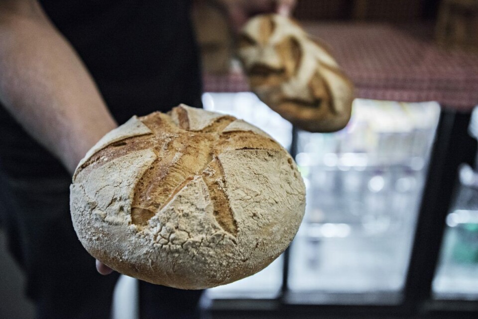 Tommy Gjersøe vil smaksprofilere surdeigsbrødene på Brød og Vann. Tommy Gjersøe vil smaksprofilere surdeigsbrødene på Brød og Vann.