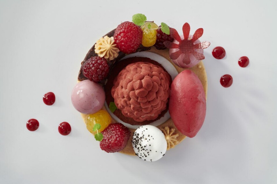 Sveriges veganske dessert. Foto: Sirha Sveriges veganske dessert. Foto: Sirha