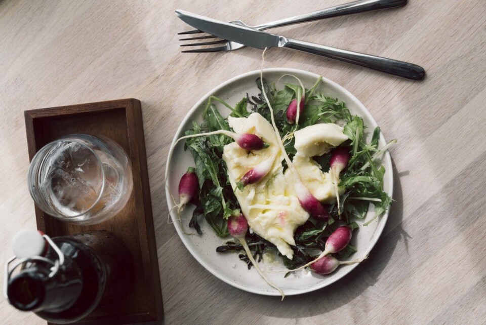 Mozzarella fra Fornes gård med sylta reddik fra Grindal.