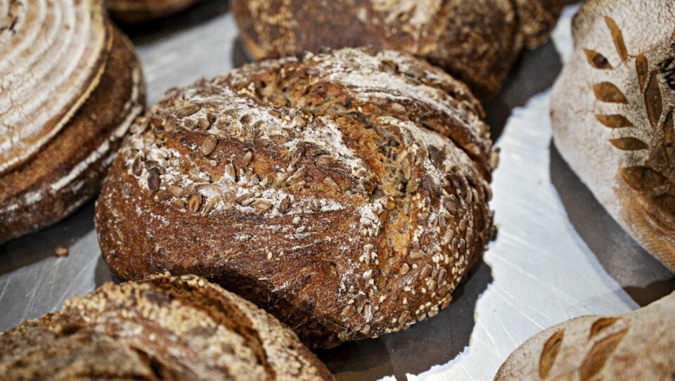 Grove brød er Norges varemerke. Grove brød er Norges varemerke.