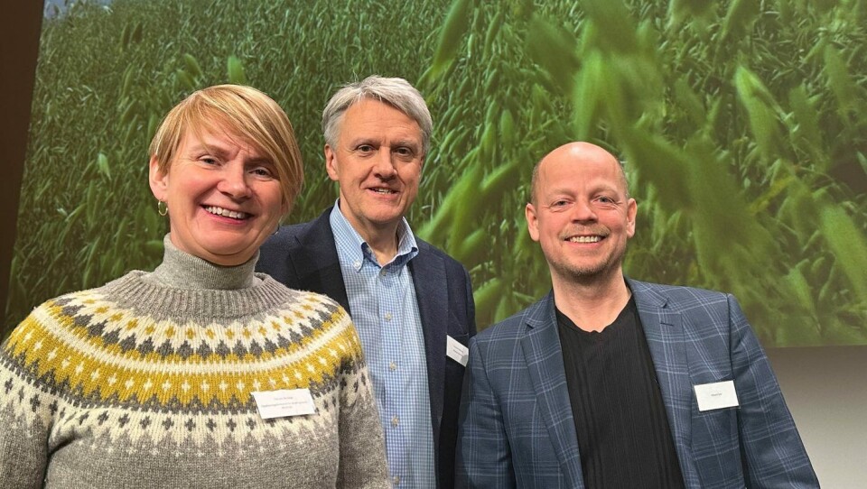 Fra venstre: Torunn Nordbø i Opplysningskontoret for brød og korn, Jan Sverre Nordstad i Nyt Norge og Håvard Ose i Mediacom på Kornkonferansen 2023.