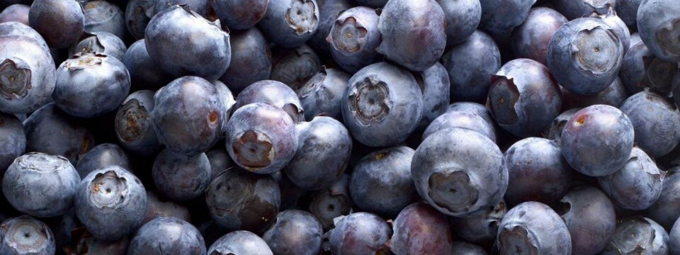 Bær og spesielt blåbær settes høyt av unge og sunne forbrukere.