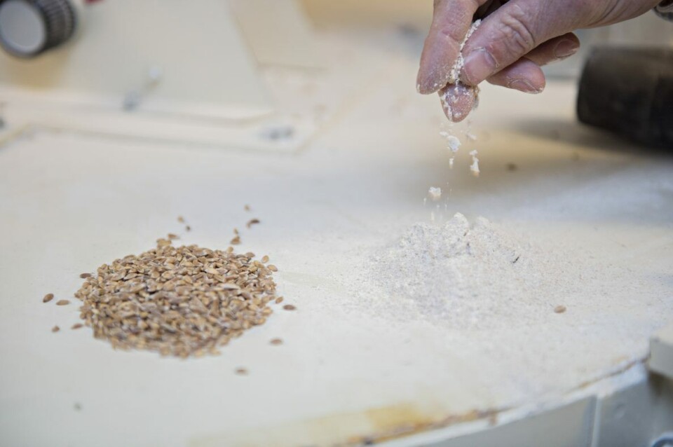 Økologiske bakervarer har økt etterspørsel blant forbrukere.