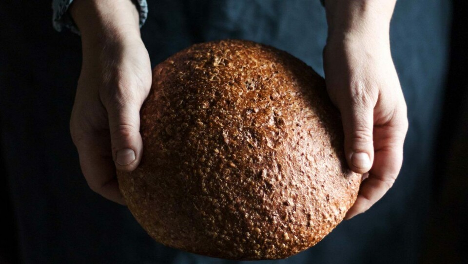 Sammen med designer Hilde Mork gir Siv Svolsbru ut alle favorittoppskriftene fra bakeriet Ikke bare brød i bokform.