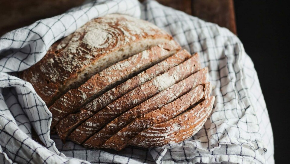 Hos Ikke bare brød i Porsgrunn bakes det kun med økologisk mel laget av gamle kornsorter.