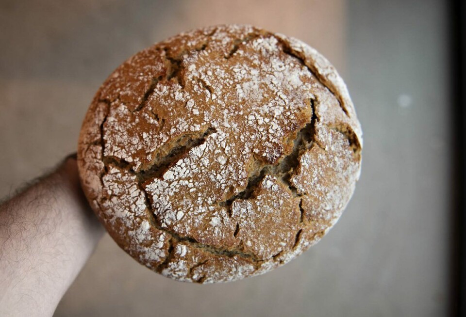 En av spesialbrødene i Hevd, Trønderbrød, er laget på 100 % sammalt spelt fra Gullimunn.