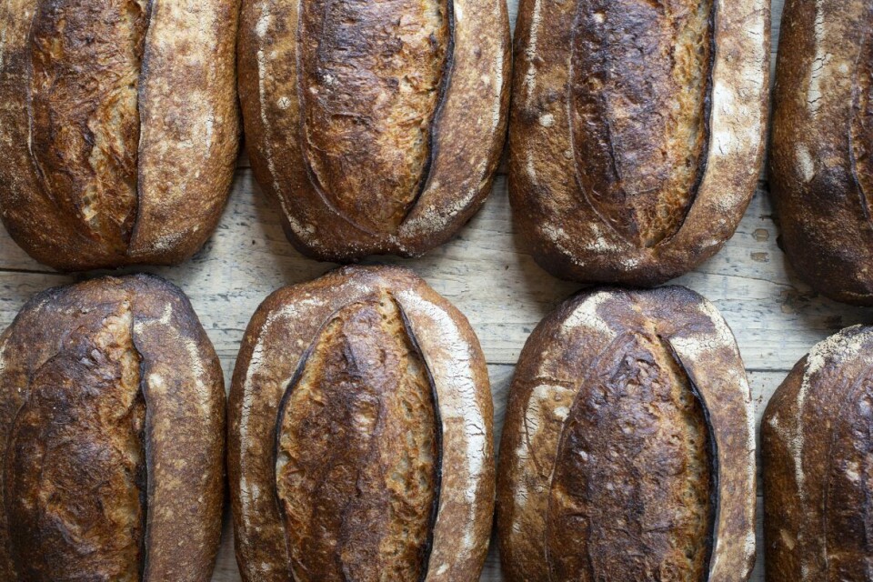Landbrød fra bakeriet i Sirkus Renaa. Landbrød fra bakeriet i Sirkus Renaa.
