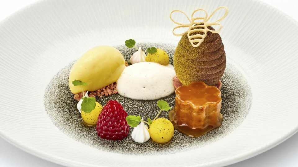 BRIGHT COLOURS AND HONEY UNITE TO CREATE THE QUINTESSENTIAL POST WINTER FEELING. WHEN THE FLOWERS BLOOM, SO DOES HOPE: Bahibe creamaux a honeycube, raspberry «Naturell», mango with vanilla spice, milk tea foam & mango «gelato» og warm hazel cake with honey caramel. BRIGHT COLOURS AND HONEY UNITE TO CREATE THE QUINTESSENTIAL POST WINTER FEELING. WHEN THE FLOWERS BLOOM, SO DOES HOPE: Bahibe creamaux a honeycube, raspberry «Naturell», mango with vanilla spice, milk tea foam & mango «gelato» og warm hazel cake with honey caramel.