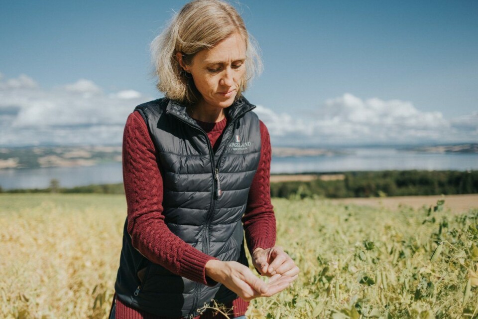 Camilla Rostad, daglig leder Holmen Crisp. Nå vil flatbrødprodusenten fra Toten ut i verden. Camilla Rostad, daglig leder Holmen Crisp. Nå vil flatbrødprodusenten fra Toten ut i verden.
