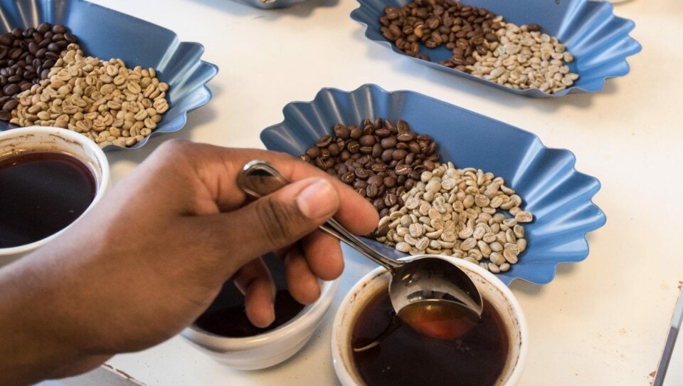 Håkon Carlos Søbye er gutten fra Colombia kom til Mandal da har var liten. Nå har han sammen med Edgars Bakeri skapt en god lokal kaffehistorie og ikke minst god kaffe. Håkon Carlos Søbye er gutten fra Colombia kom til Mandal da har var liten. Nå har han sammen med Edgars Bakeri skapt en god lokal kaffehistorie og ikke minst god kaffe.