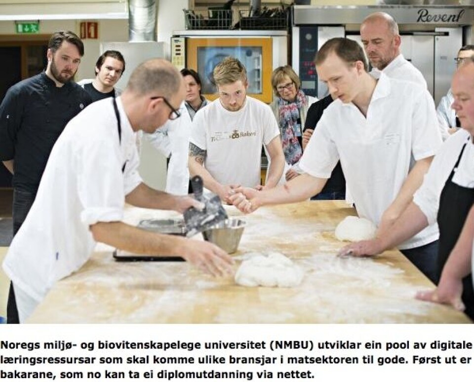 Skjermbilde fra Norgesuniversitetet- André Løvås instruerer.