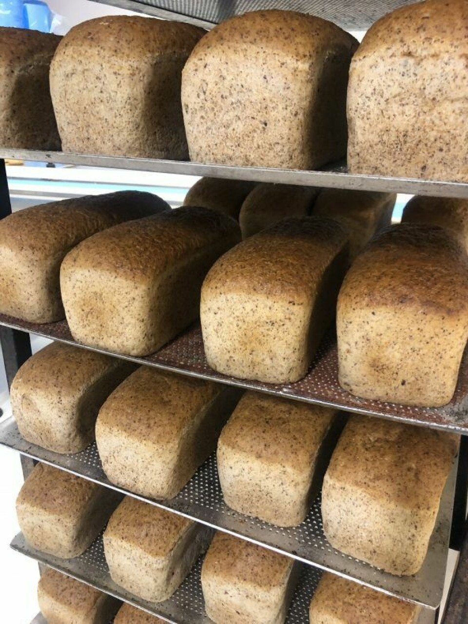 Glutenfrie brød fra Elda Bakeri i Sandnes.