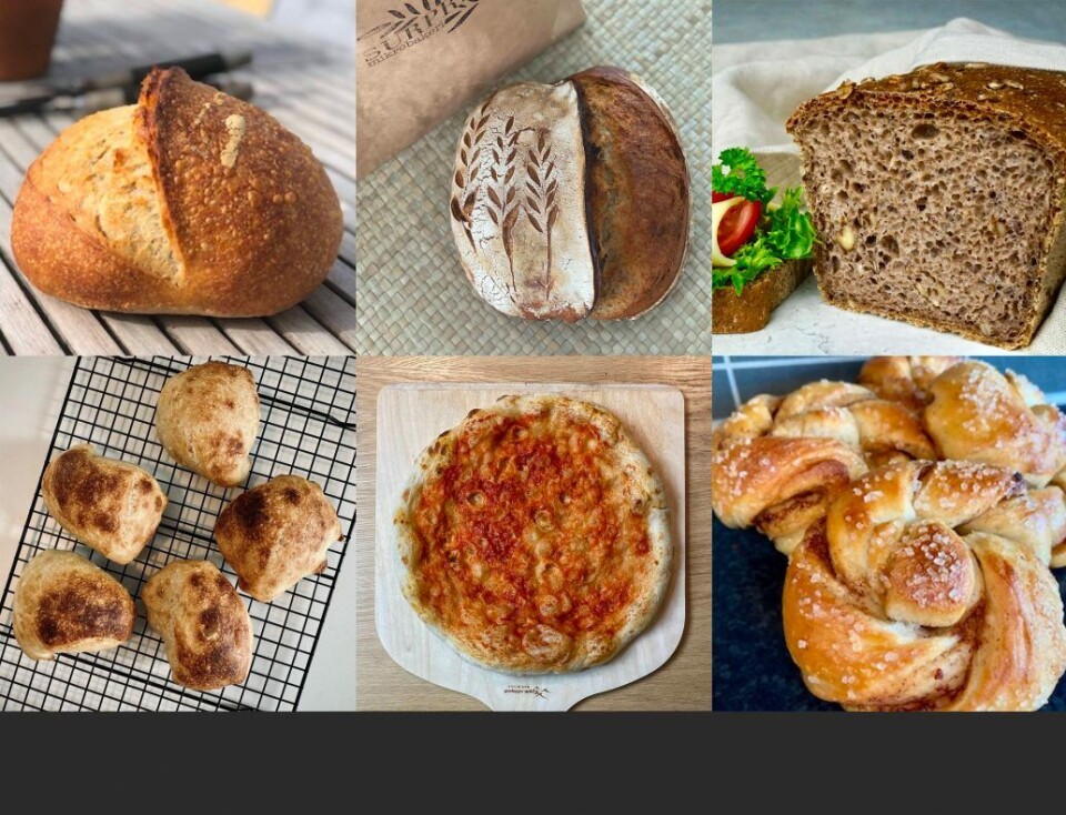 Noen av produktene som selges gjennom Heyme. Øverst Landbrød fra May Tonjes fermentering og surdeig på Nærbø (fra venstre), Digg fra Surprise mikrobakeri i Harstad og Speltbrød med valnøtter fra Norsk Urkorns hjemmebakeri i Trøgstad. Nederst: Det Lette, fem surdeigsstykker fra Baked by Lind i Skien (fra venstre), pizzabunn med saus fra Brødhue Hjemmebakeri i Oslo og Kanelknuter fra Surstugu i Kaupanger. (Bildene er ikke i samme skala) Noen av produktene som selges gjennom Heyme. Øverst Landbrød fra May Tonjes fermentering og surdeig på Nærbø (fra venstre), Digg fra Surprise mikrobakeri i Harstad og Speltbrød med valnøtter fra Norsk Urkorns hjemmebakeri i Trøgstad. Nederst: Det Lette, fem surdeigsstykker fra Baked by Lind i Skien (fra venstre), pizzabunn med saus fra Brødhue Hjemmebakeri i Oslo og Kanelknuter fra Surstugu i Kaupanger. (Bildene er ikke i samme skala)