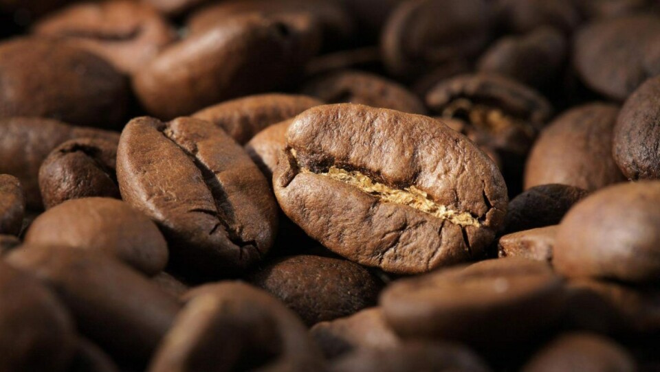 Ha gode råvarer i bunn. Snakk med et kaffebrenneri og smak deg igjennom det de har.