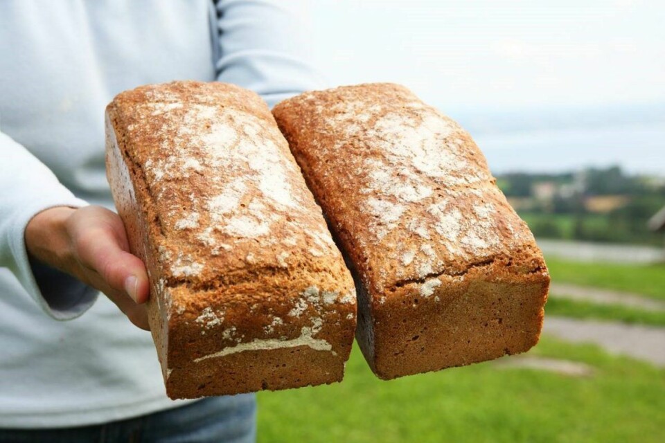 Gardsspelt er norsk, økologisk og 86 prosent grovt. Brødet er en av Baker Hansens fem bestselgende produkter.