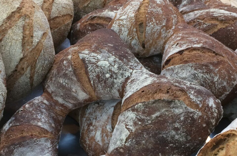 Den spanske brødbaksten i «bread in the city» Den spanske brødbaksten i «bread in the city»