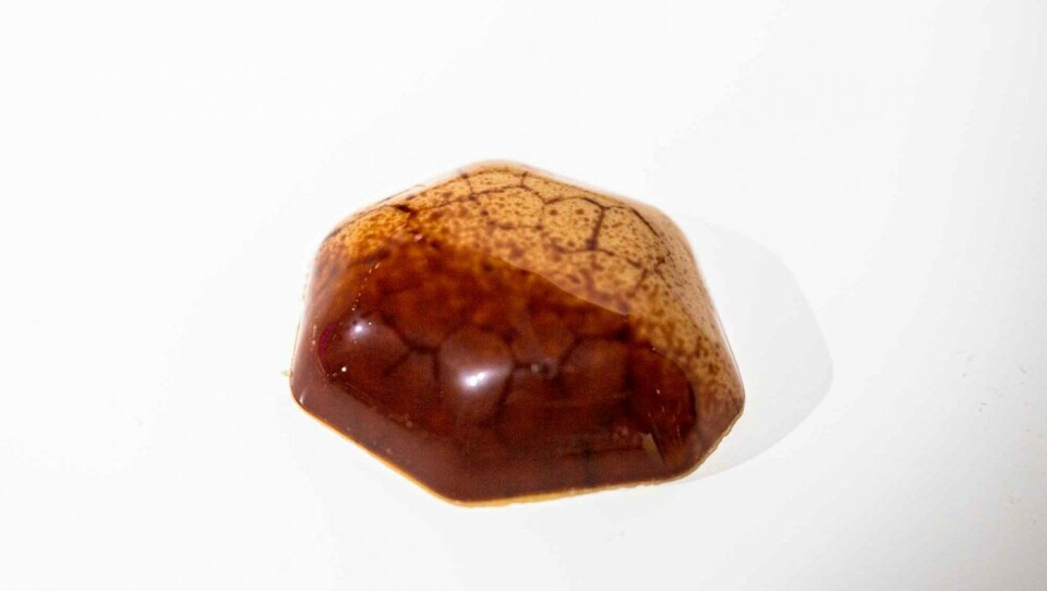 #BONBON laget av Lluc Crusellas. #BONBON laget av Lluc Crusellas.