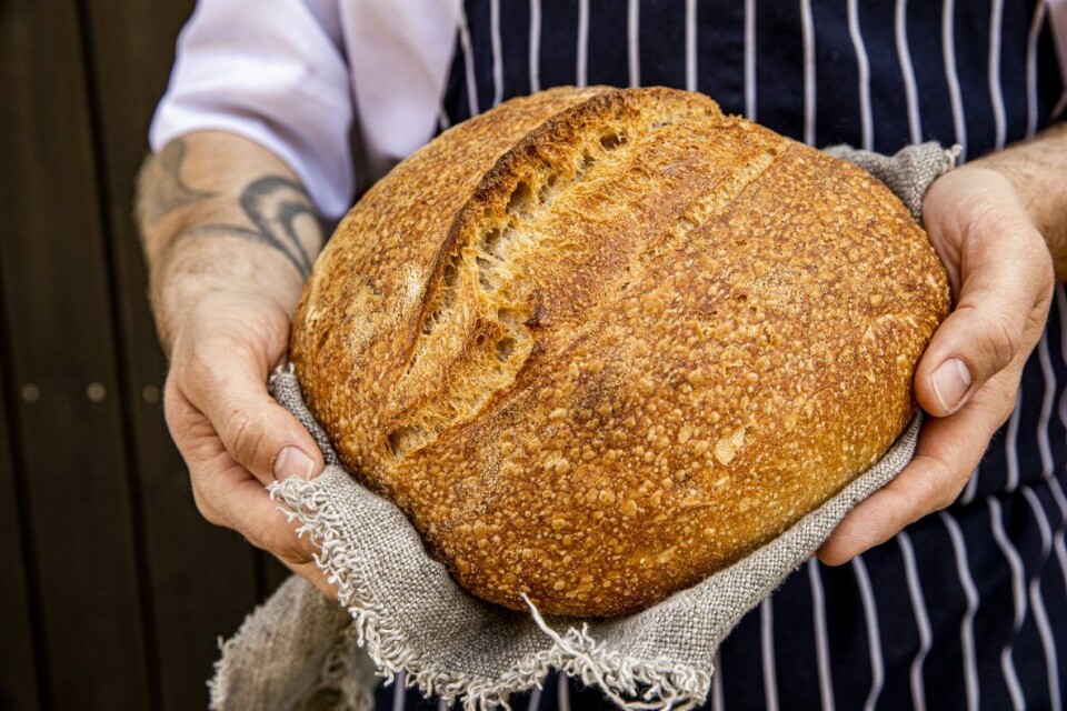 Alle brød fra Bakfickan er bakt på surdeig.