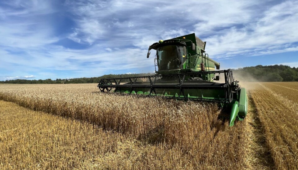 Konklusjonen i rapporten fra Matkornpartnerskapet er klar: Norge kan ha 90 % dekning av norsk matkorn, men bransjen må ta grep og politikken tilpasses om dette skal bli et stabilt nivå.