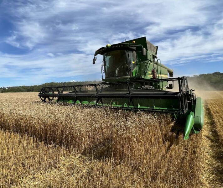 Sesongens første kornprognose er klar fra Felleskjøpet Agri markedsregulator