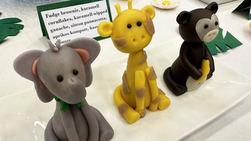 Ronja Teigen liker å modellere og fikk utfolde seg i årets konkurranse som hadde tema bursdag. Ronja Teigen liker å modellere og fikk utfolde seg i årets konkurranse som hadde tema bursdag.