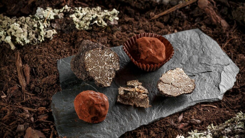 Vegetar- og veganprodukter har også med hell etablert seg i søtsaker og snackssegmentet i løpet av de siste årene.