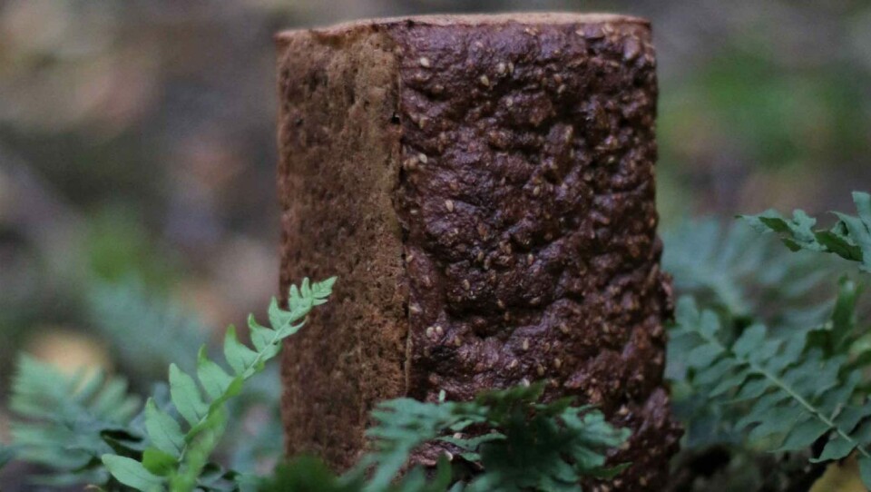 Finalist i Årets bakst: Rugbrødet fra Sirkus Renaa er økologisk, laget på surdeig og 100 % grovt.