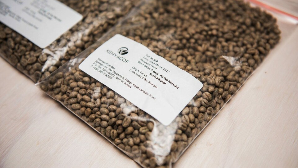 Joakim reiser selv til Kenya for å finne kaffe med høy kvalitet. All kaffe brennes på Nord nye brenneri på Tveita i Oslo. Joakim reiser selv til Kenya for å finne kaffe med høy kvalitet. All kaffe brennes på Nord nye brenneri på Tveita i Oslo.