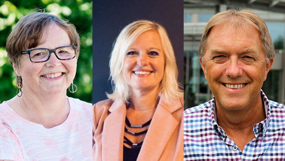 Bildetekst: Gunn Knutsen, Norsk Sjømat, Gry Sørensen, Norges Frukt- og Grønnsakgrossisters Forbund og Gunnar Bakke i Baker- og Konditorbransjens Landsforening samarbeider om innsatsområde 4.