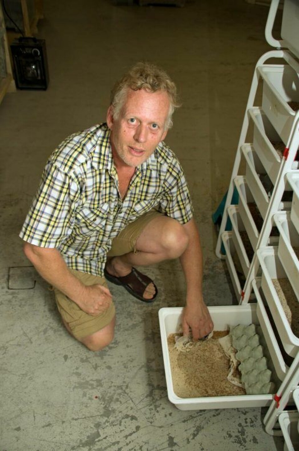 Thomas Rognstad begynte med insekter til fôr for sine egne vaktler – når er det mat til mennesker han satser på.