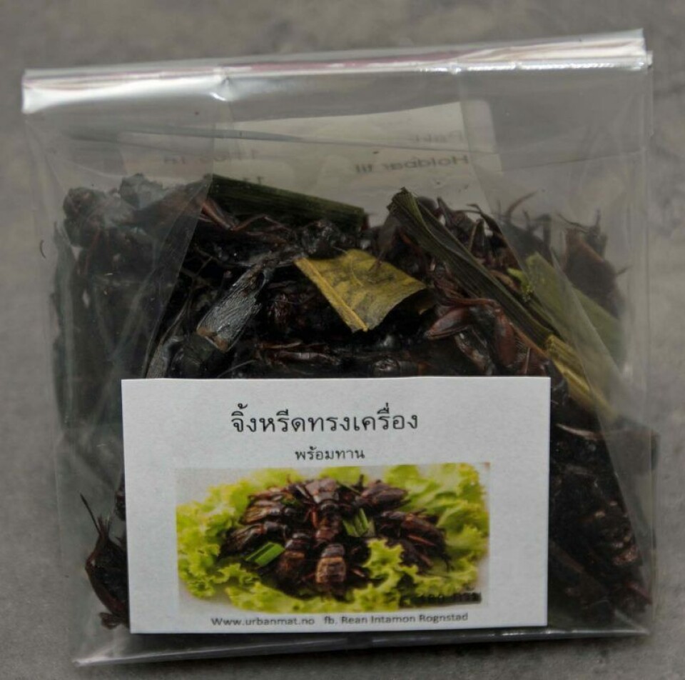 Sirissene som selges hele som snacks, er vasket og skylt fem ganger før de er krydret og tørket. Butikker som spesialiserer seg på mat fra Thailand, vil gjerne ha insektsnacksen. Sirissene som selges hele som snacks, er vasket og skylt fem ganger før de er krydret og tørket. Butikker som spesialiserer seg på mat fra Thailand, vil gjerne ha insektsnacksen.