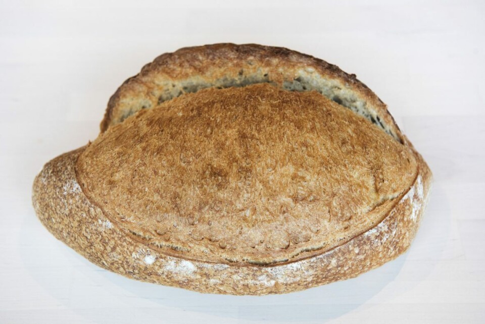Pain campagne (Landbrød). Pain campagne (Landbrød).