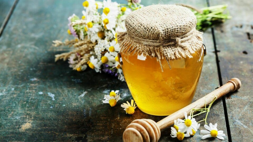 www.honning.no arrangerer NM i honning for å øke interessen for norsk honning.