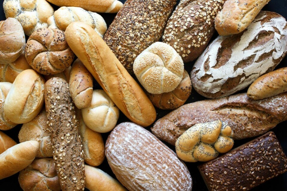 Brød er en av verdens viktigste matvarer, og 16. oktober markeres Verdens brøddag.