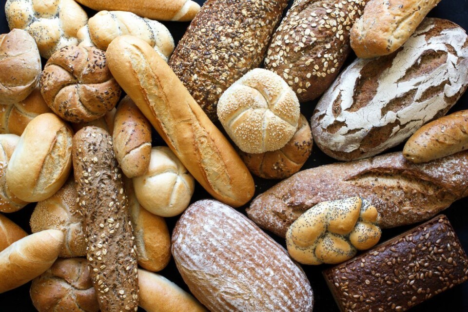Brød er en av verdens viktigste matvarer, og 16. oktober markeres Verdens brøddag. Brød er en av verdens viktigste matvarer, og 16. oktober markeres Verdens brøddag.