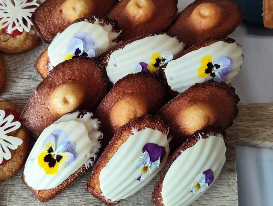 Madeleines. Madeleines.