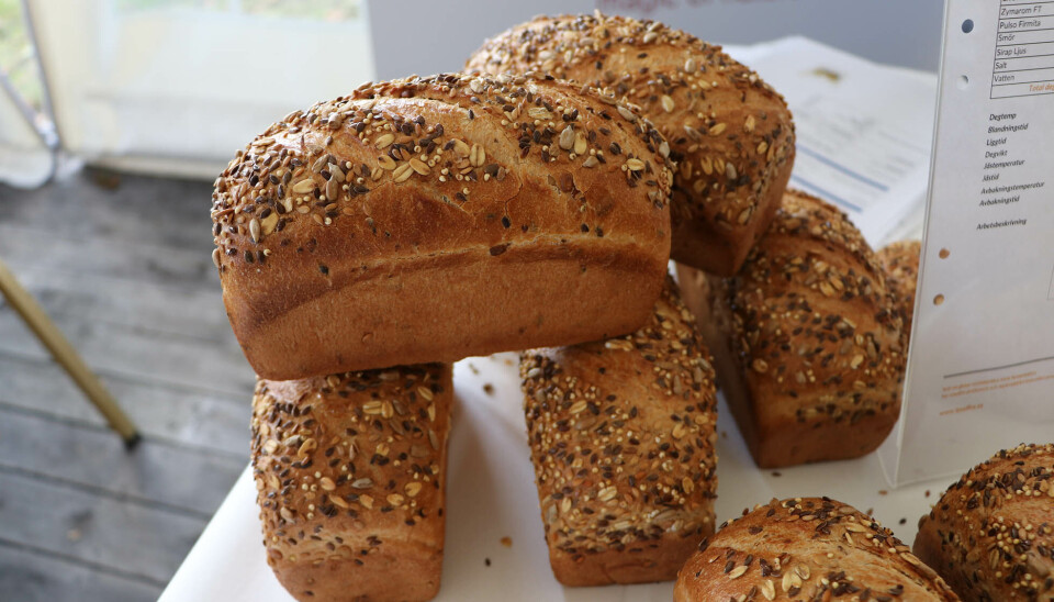 Flerkornsbrød bakt med nyheten Zavarka fra Lesaffre.