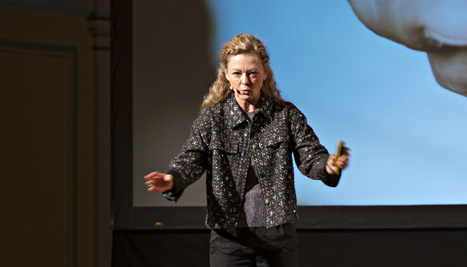 Louise Byg Kongsholm, CEO og trendforsker i PEJ Gruppen. Bilde av Louise Byg Kongsholm, CEO og trendforsker i PEJ Gruppen.