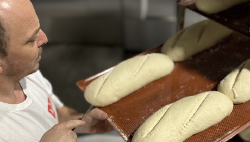 Hålogaland Bakeri produserer mellom 800 og 1000 brød daglig. Målet er å doble.