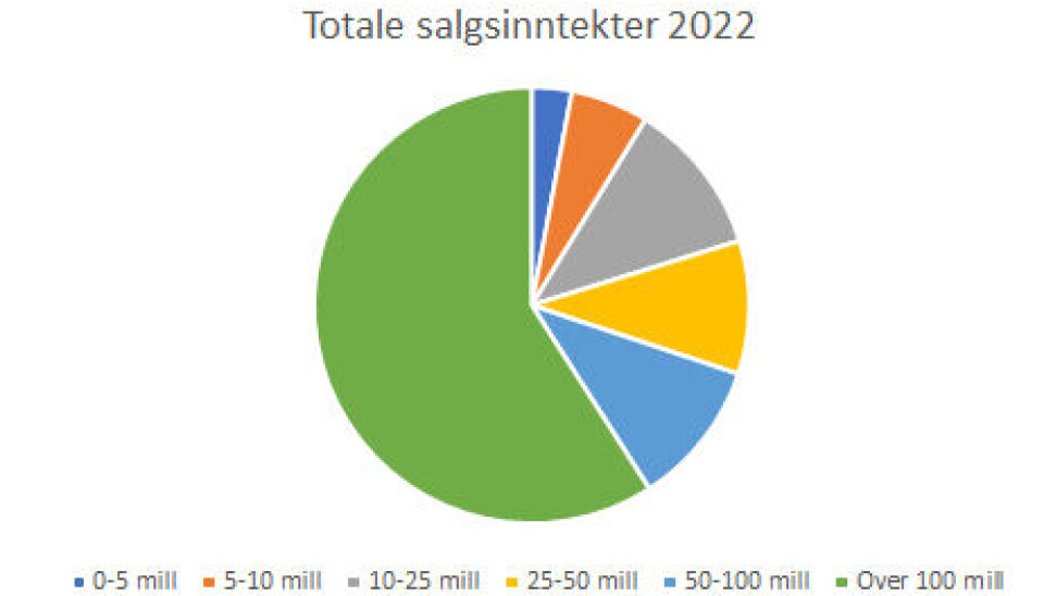 Andel omsetning i bransjen fordelt ut fra bedriftsstørrelse.
