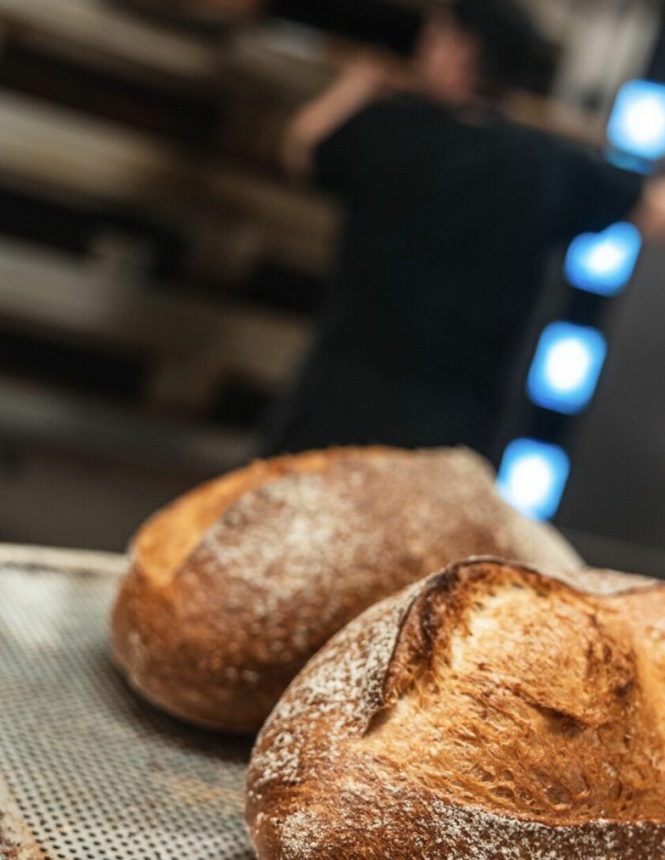 Brustadbakeren produserer et bredt spekter av brød og andre bakervarer.