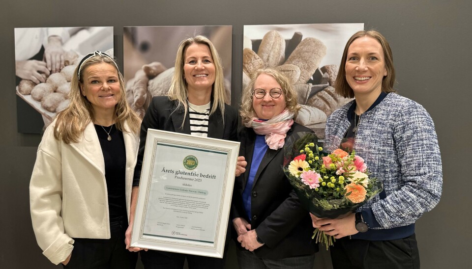 Forslag til sitat: Vi vil at alle skal få den «nybakt-følelsen» når de spiser våre produkter, også de som trenger glutenfri mat. Elin Renbjør, markedssjef i Hatting.
Bildetekst: Hatting mottok 29. januar pris som Årets glutenfrie produsent 2023 for sitt store og gode glutenfrie sortiment. Fra venstre markedsdirektør Aina Hagen, markedssjef Elin Renbjør, konstituert generalsekretær Lise Friis Pedersen fra NCF og kommunikasjonsansvarlig Christel Nordhagen. Fire damer der den ene holder en diplom i glass og ramme.