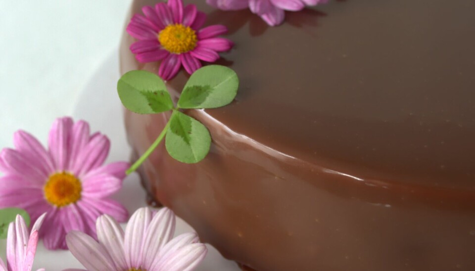 Trippel sjokolademousse er en av de mest krevende oppskriftene i Himmelske kaker.