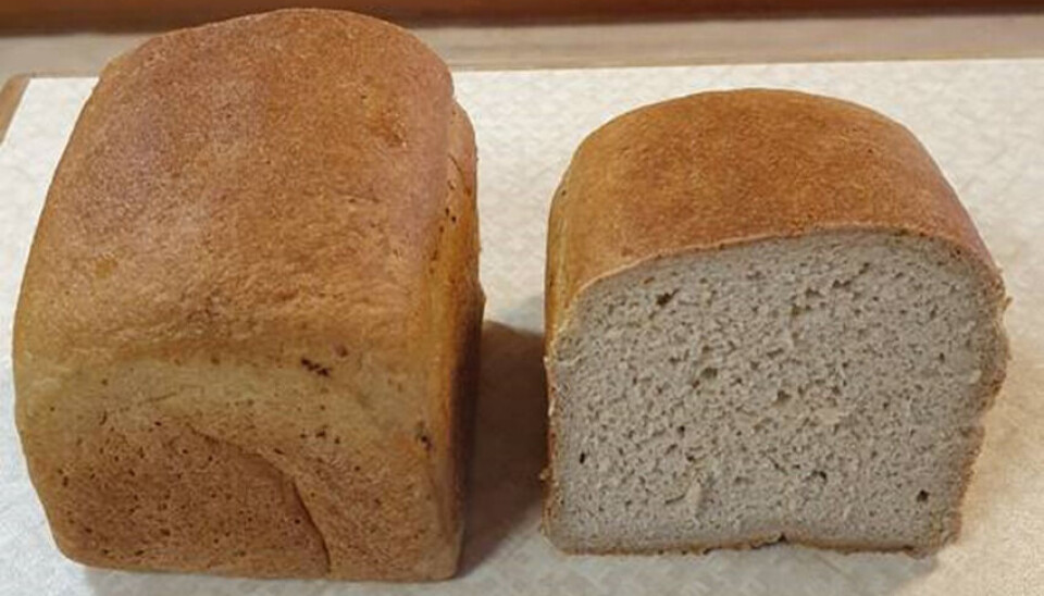 Forskere ved Nofima på Ås har utviklet testbrødet i det internasjonale forskningsprosjektet CarbHealth.