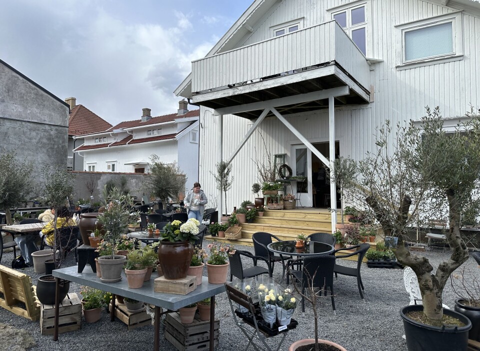 Jensens Conditori har over 100 sitteplasser i sin uteservering i bakgården. Bord og stoler på uteservering.